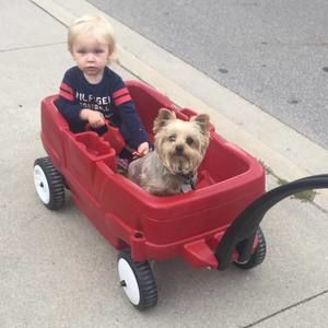 Meet your Posher, Barbara